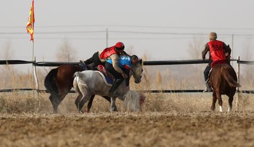 微信图片_20251215103423_327_4