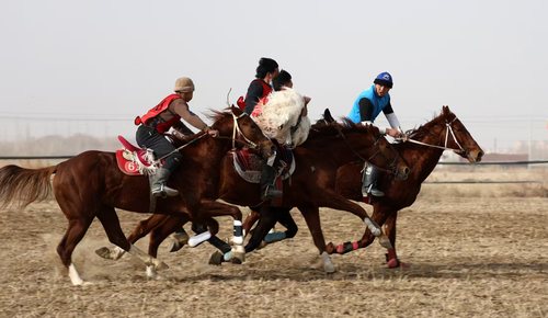 微信图片_20251215103426_328_4