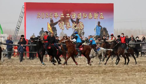 微信图片_20251215103432_329_4