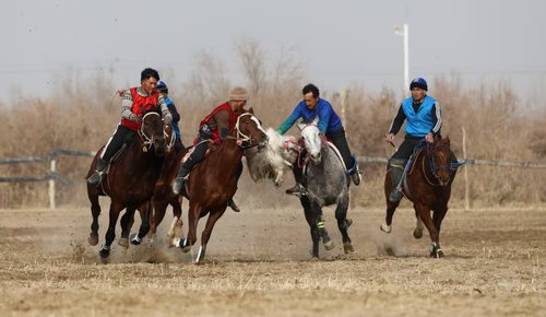 微信图片_20251215103436_330_4