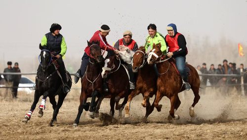 微信图片_20251215103446_332_4