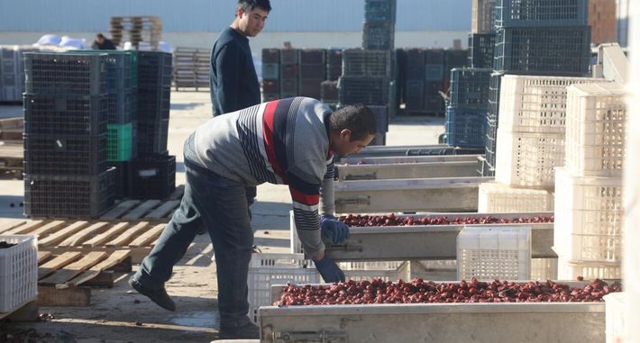 零的突破！昆玉经开区两家企业获评高新技术企业 