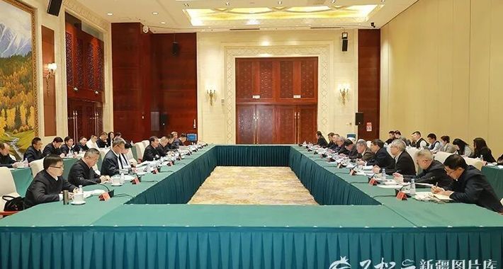 自治区在北京举行“十五五”规划纲要高层次专家咨询会 