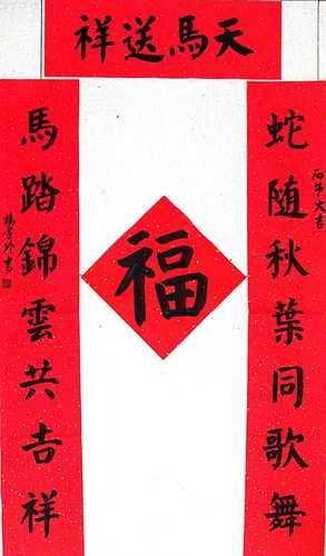 26于田县、杨金玲
