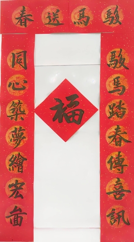 63皮山县、赵龙