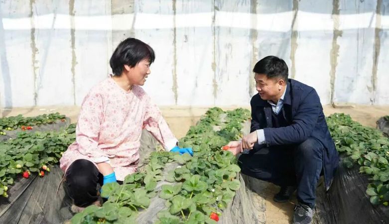 戈壁滩上瓜果香