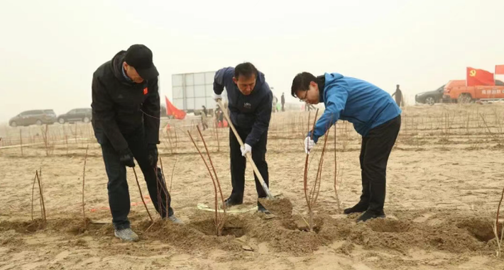 千人植绿锁黄沙 良种赋能生态兴