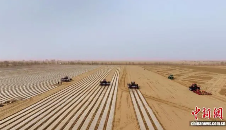 上级媒体看昆玉 | 新疆兵团：机械化播种孜然效率高