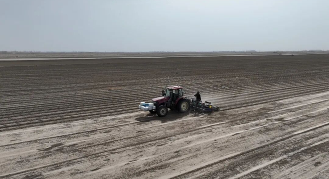春耕正当时 葵种播田畴——二二五团食葵春播忙