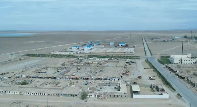 2.3%到35%！他们凭什么让沙漠“长”出23万亩林？