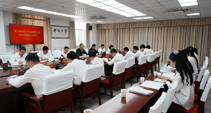 买买提艾力·吐尔洪参加所在的师市发改委党支部组织生活会 