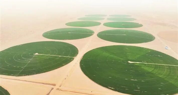  万物竞发争春来 | 沙海嵌绿环 大漠育新粮——探访塔克拉玛干沙漠南缘绿色“同心圆”