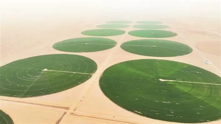  万物竞发争春来 | 沙海嵌绿环 大漠育新粮——探访塔克拉玛干沙漠南缘绿色“同心圆”