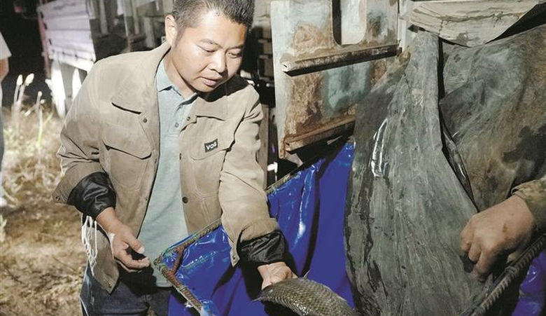 万物竞发争春来丨盐碱荒滩变身“蓝色聚宝盆”