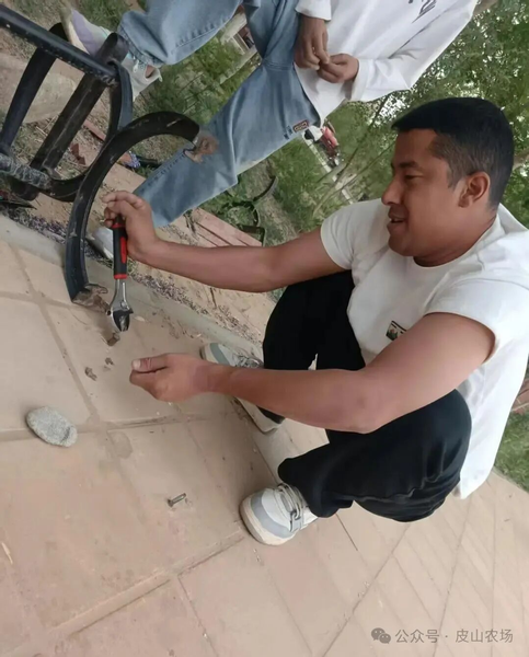 图片4