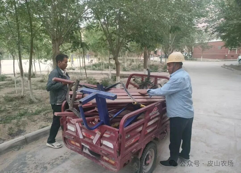 图片5