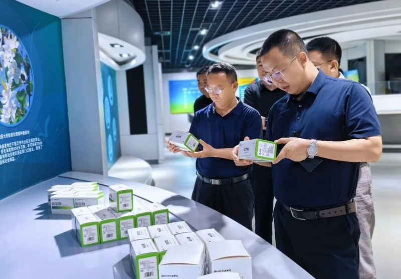 图片11