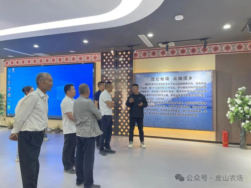 图片2