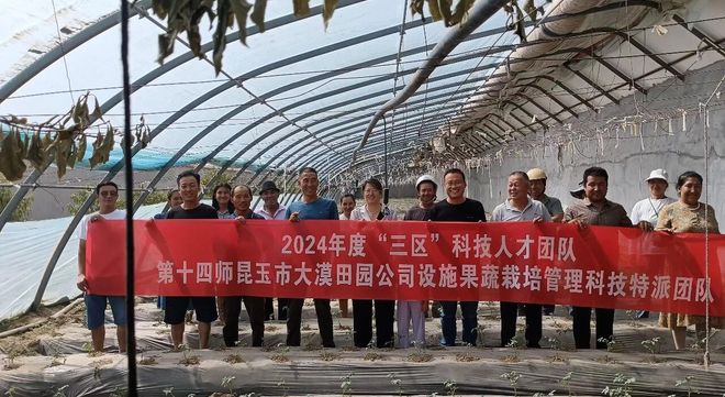 她用十八年追逐梦想,把科技“种”进沙海——记中国科协十大会议代表张红艳