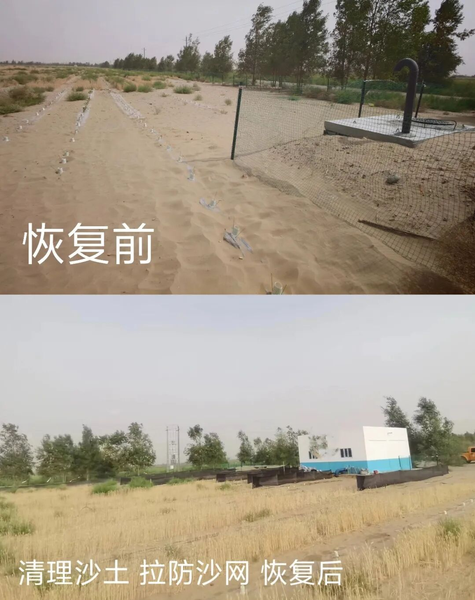 图片10