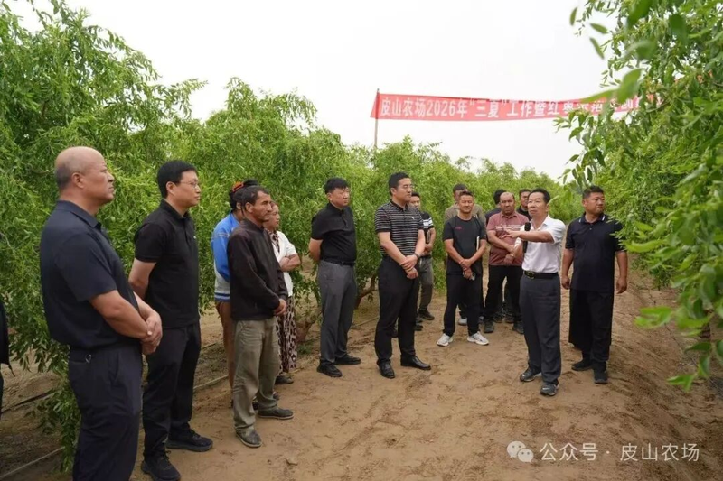 图片10