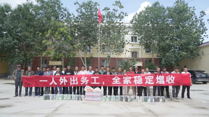 图片8