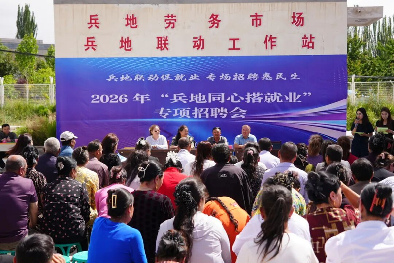 图片12