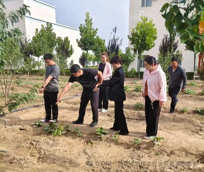 图片2