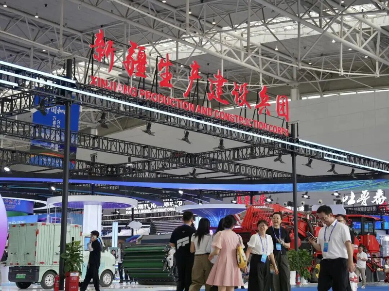 图片3