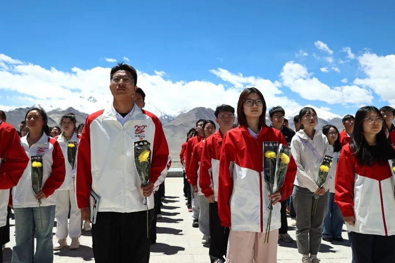 图片7