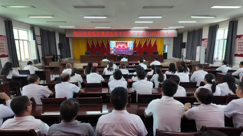 图片7