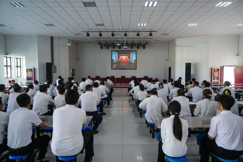 图片10