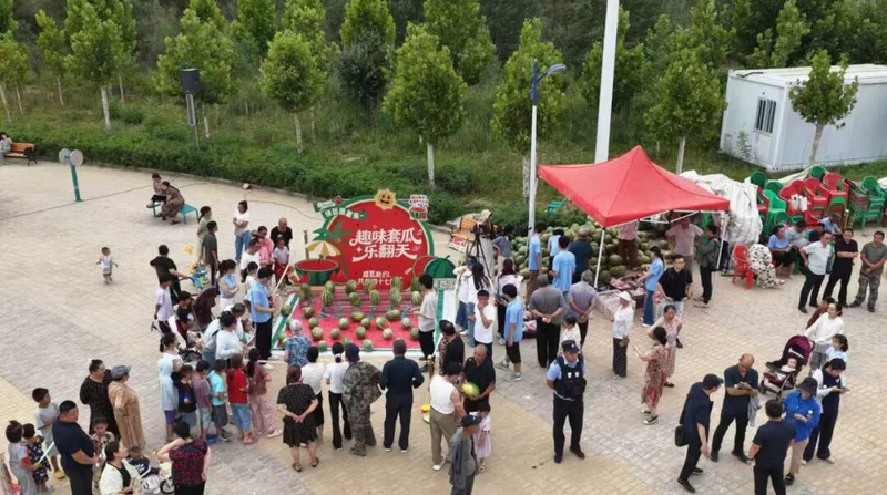 图片11