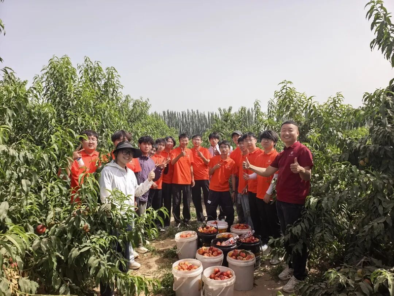 图片8