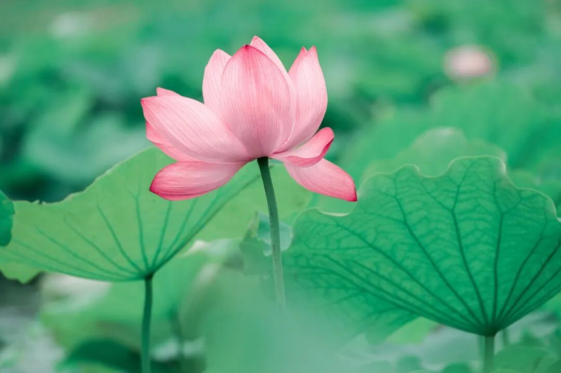 图片10