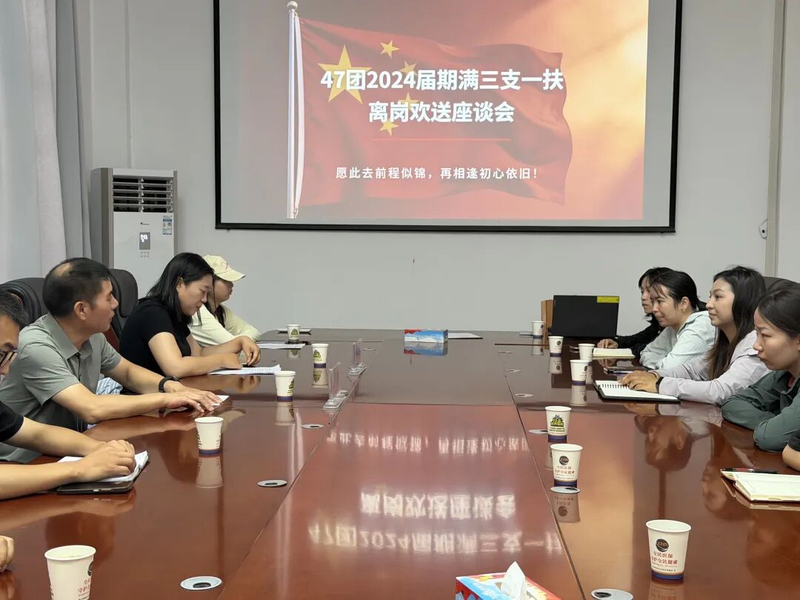 图片8