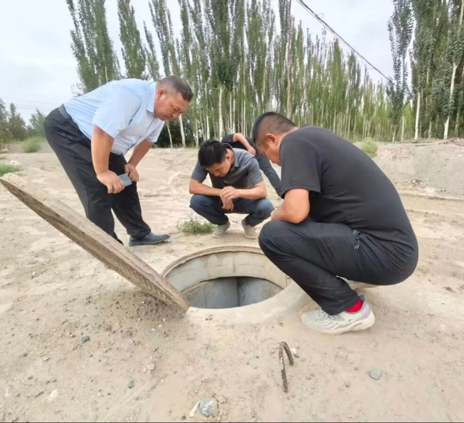 图片12