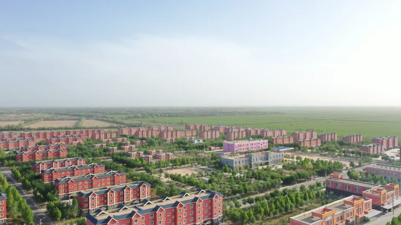 图片6