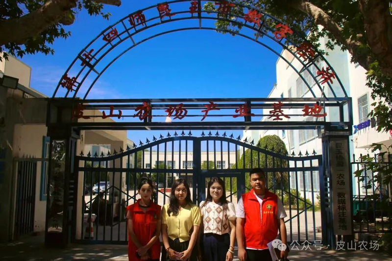图片5
