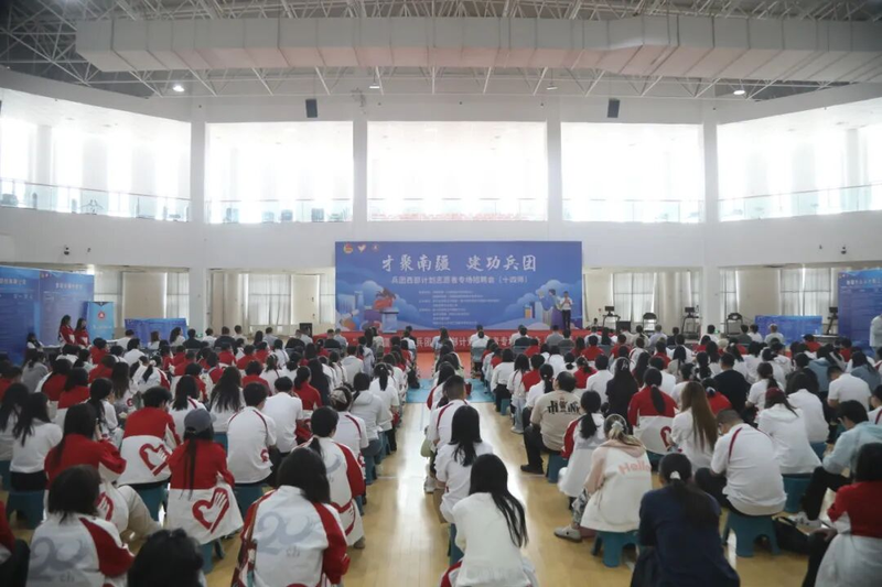 图片4
