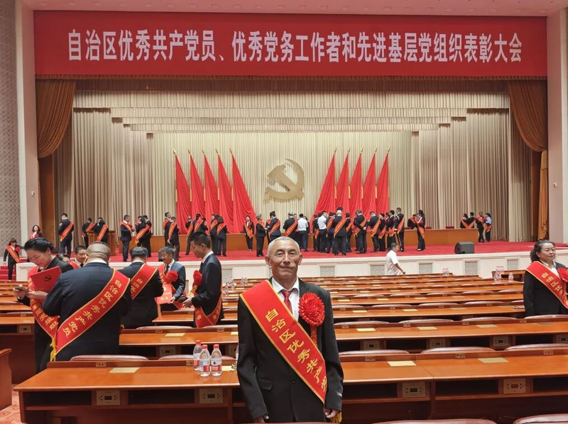 图片8