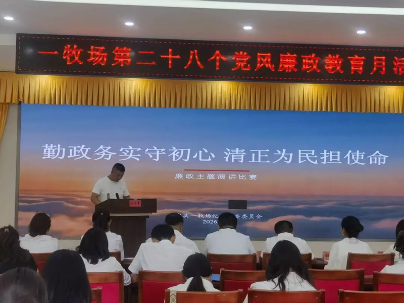 图片8