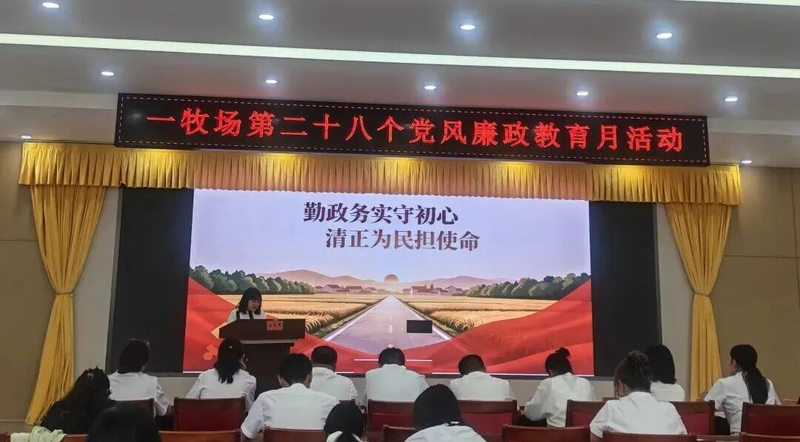 图片9