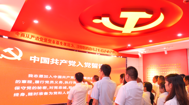 图片11