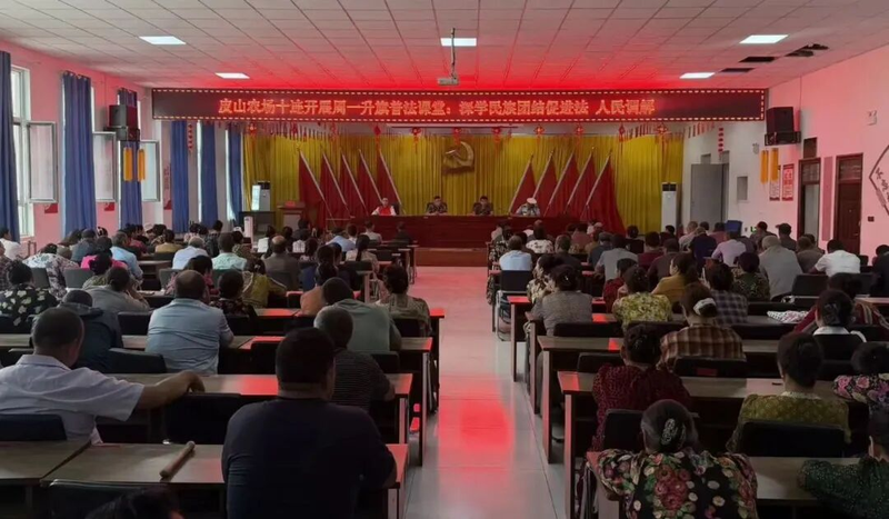 图片4