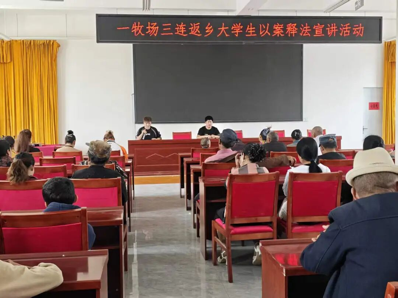 图片8