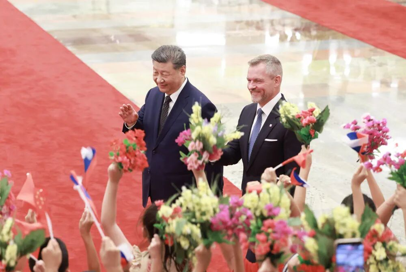 图片17
