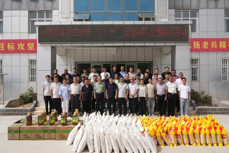 图片7