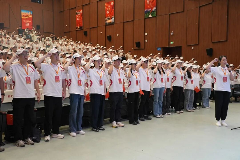 图片11
