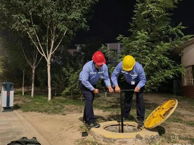 皮山农场2